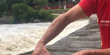 Hallaron un tortuga en el Río San Antonio