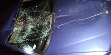 Accidente en Oberá: un automovilista colisionó contra un caballo.