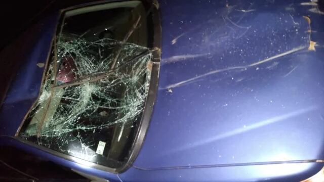 Accidente en Oberá: un automovilista colisionó contra un caballo.