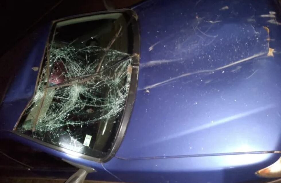 Accidente en Oberá: un automovilista colisionó contra un caballo