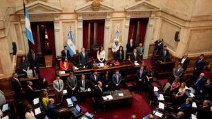 Villarruel en el Senado. (AP Foto/Natacha Pisarenko)