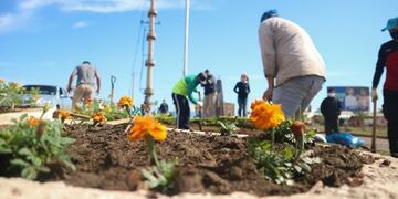 Jornada de plantación de flores en Itaembé Guazú.