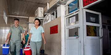 Donación de Órganos