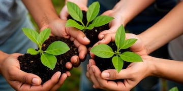 La edición especial combina ambiente y solidaridad: juguetes por plantines. (Imagen ilustrativa Freepik)