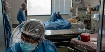 La cepa que se encuentra en la provincia corresponde a Manaos y a Gran Bretaña.