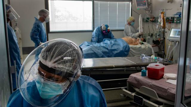 La cepa que se encuentra en la provincia corresponde a Manaos y a Gran Bretaña.