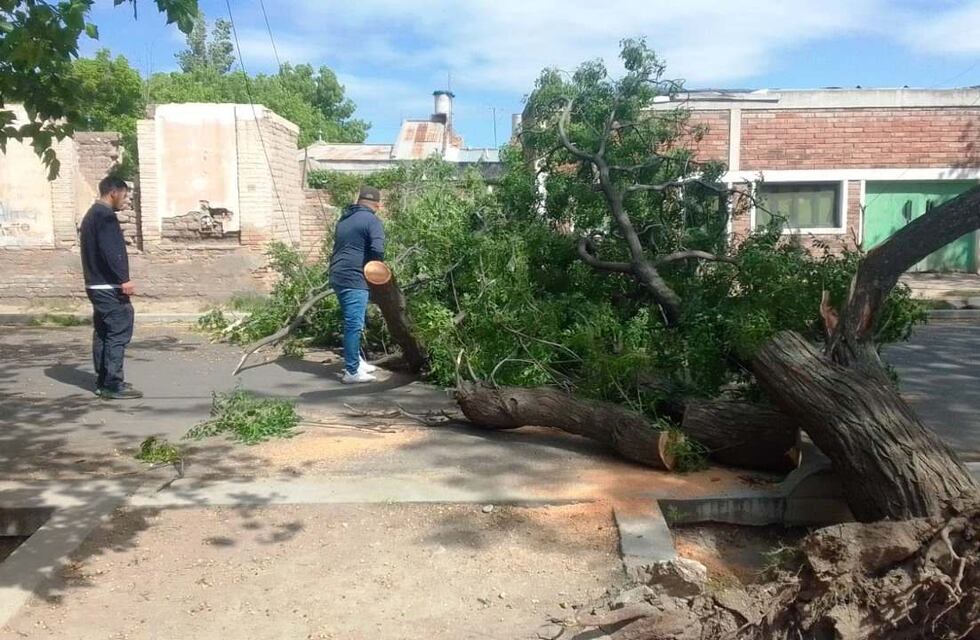 Las ráfagas de viento superaron los 100 kilómetros por hora en San Rafael