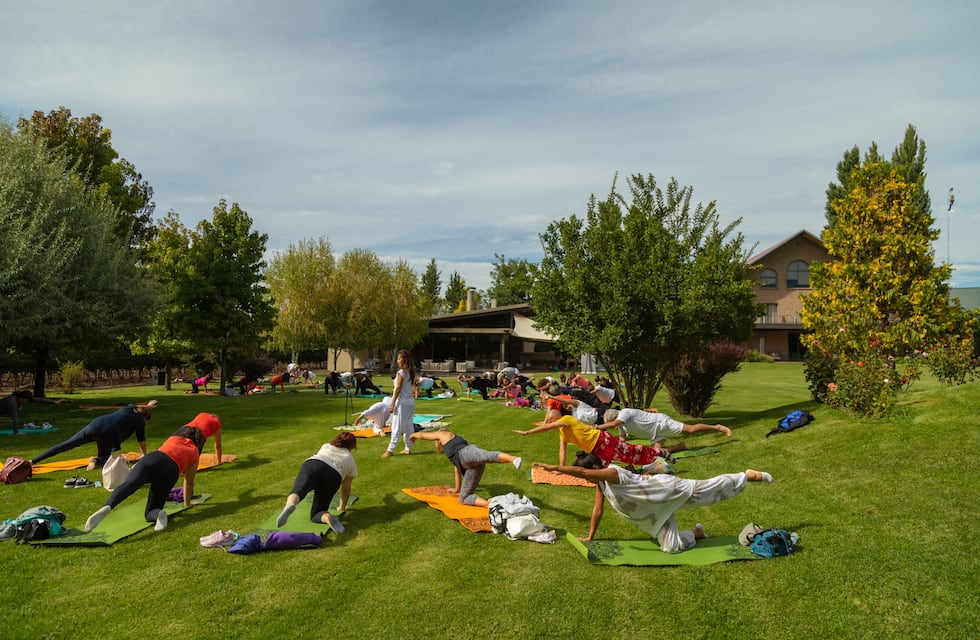 Vino y yoga: la combinación ideada por Maipú para sus vecinos
