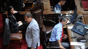 El jefe del bloque de diputados oficialistas, Oscar Zago, y el titular de la Cámara baja, Martín Menem (Foto: Federico López Claro)