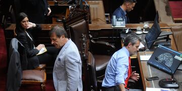 El presidente de la Cámara de Diputados, Martín Menem, y el jefe del bloque de La Libertad Avanza, Oscar Zago (Foto: Federico López Claro)