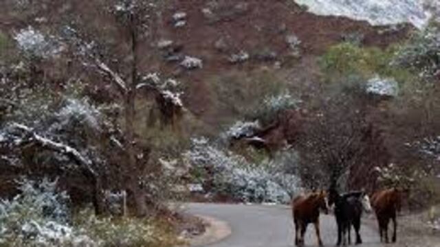 La belleza de la cordillera nevada es uno de los atractivos más destacados de esta temporada invernal