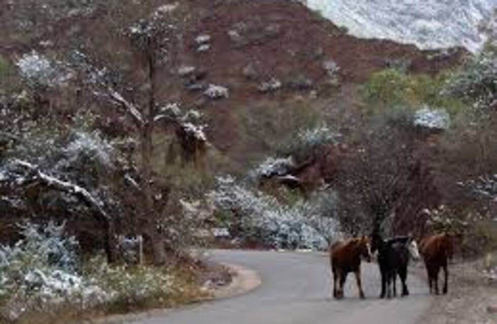 Turismo: San Juan cerró exitosamente la primera semana de vacaciones