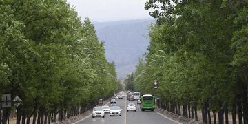 El parque General San Martín de Ciudad, se prepara para el 125° aniversario de su creación.
Avenida El Libertador en el parque General San Martin.