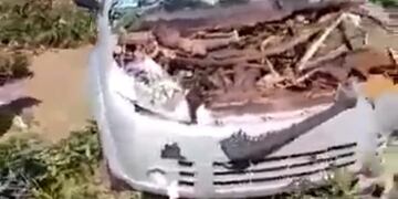 Montecarlo: un auto fue aplastado por un árbol en la ruta 12.