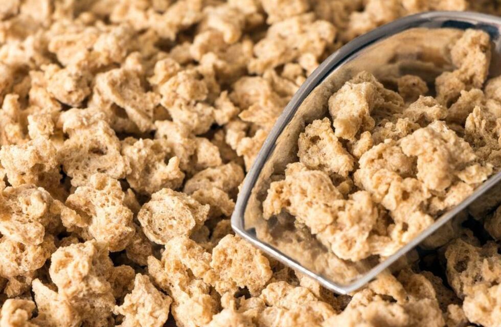 Qué es la soja texturizada, la “carne picada” saludable: desde empanadas hasta pastel de papa