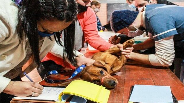 Tienen el fin de fomentar la tenencia responsable.