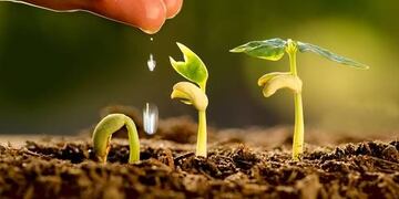 Agricultura, cambio climático y alimentos, el estudio y análisis en el XVII Taller de Seguimiento Técnico Anual de Proyectos FONTAGRO.