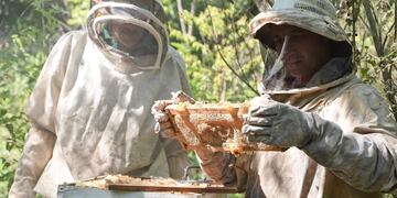 La Sala de Extracción e la Cooperativa Las Abejas está a disposición de todos los apicultores