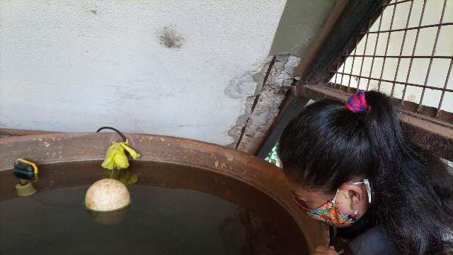 Se mantienen las tareas de control de vectores en Eldorado.