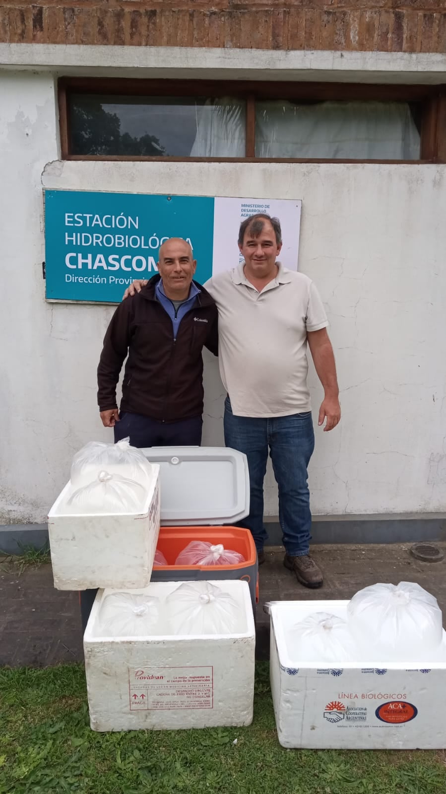 Siembra de alevinos en las lagunas del distrito de Adolfo Gonzales Chaves