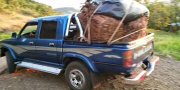 Disparos durante una negociación de tabaco en Pozo Azul deja un herido. Imagen ilustrativa.