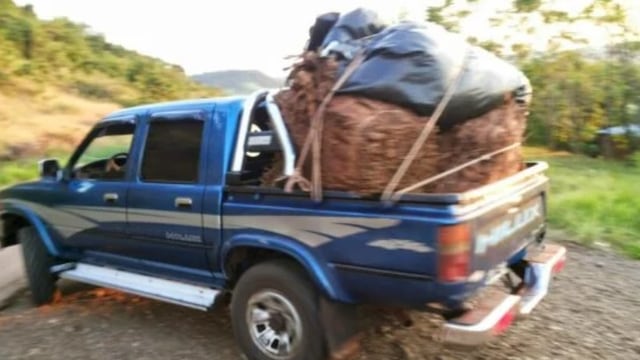 Disparos durante una negociación de tabaco en Pozo Azul deja un herido. Imagen ilustrativa.