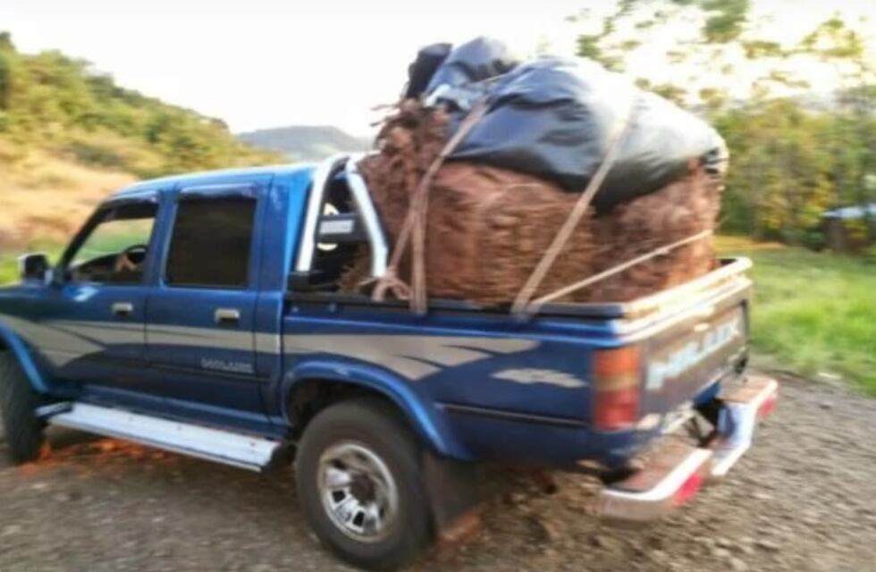 Disparos durante una negociación de tabaco en Pozo Azul deja un herido