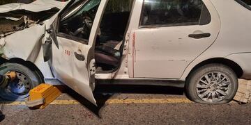 Así quedó el auto tras el impacto con el animal