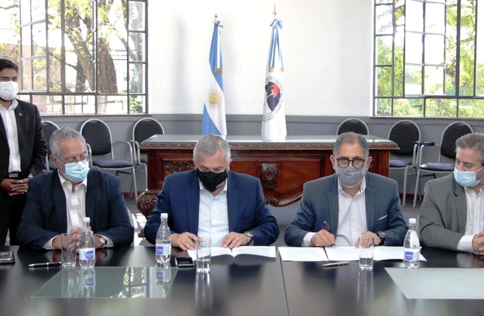 Implementarán en Jujuy un sistema de hospital público y gratuito para mascotas