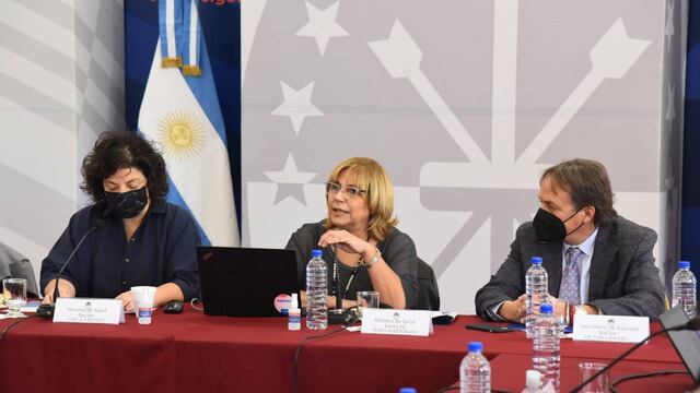 La ministra de Salud, Sonia Martorano, pidió que se coloquen la tercera dosis quienes se infectaron en el verano.