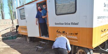 En el quirófano móvil de San Rafael realizan esterilización de perras y gatas.