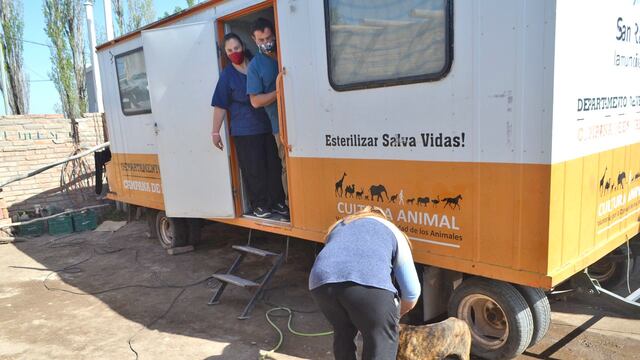 En el quirófano móvil de San Rafael realizan vacunación antirrábica y esterilización de perras y gatas.