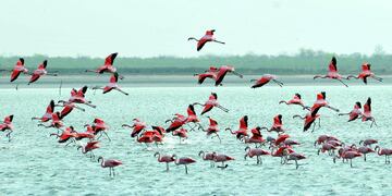 Clima en Ansenuza: cómo estará el tiempo este fin de semana