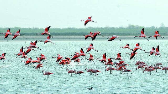 Clima en Ansenuza: cómo estará el tiempo para el sábado 1 de mayo