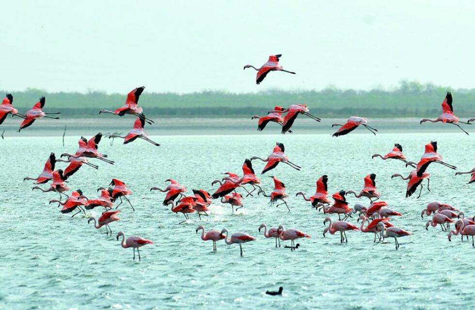 Clima en Ansenuza: cómo estará el tiempo este fin de semana