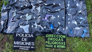 Insólito hallazgo en Posadas: una jubilada encontró cocaína en su patio.