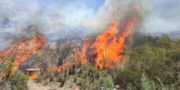 Este 26 de enero se registraron varios incendios provocadois por asados mal apagados en la zona de El Salto. Nicolás Ríos/Los Andes