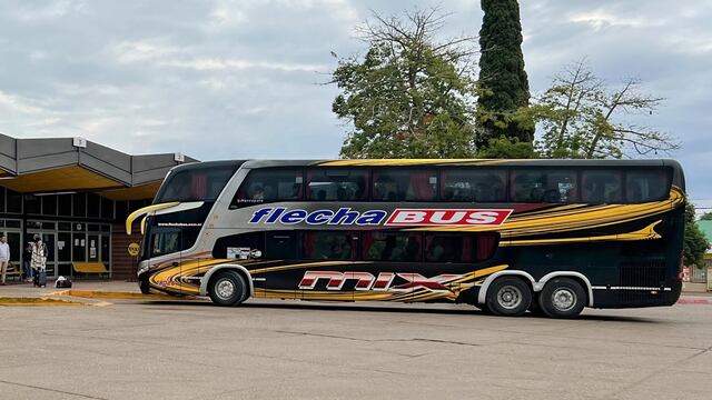 Suspenderían la entrega de pasajes gratuitos a discapacitados para viajes en ómnibus de larga distancia.