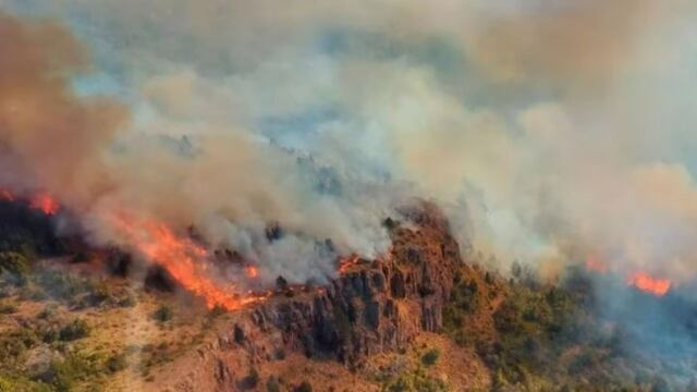 Impactante: así está el Parque Nacional los Alerces por el incendio.