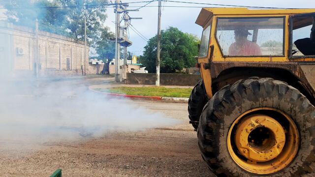 Medidas en Arroyito por la enfermedad Encefalitis Equina (Encefalomielitis).