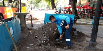 Los obreros de la Municipalidad ya están trabajando en avenida San Martín sobre el Paseo Daniel Ramos Correa. Gentileza MCM