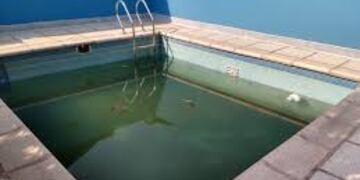 Mantenimiento de piletas para evitar casos de dengue