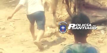 Despiadado: se viralizó un video de dos sujetos maltratando cruelmente a una yegua