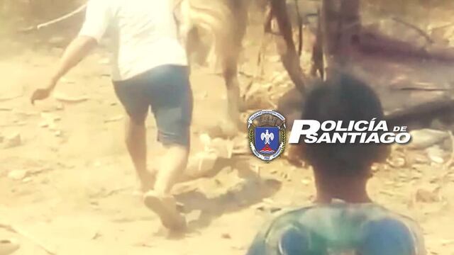 Despiadado: se viralizó un video de dos sujetos maltratando cruelmente a una yegua