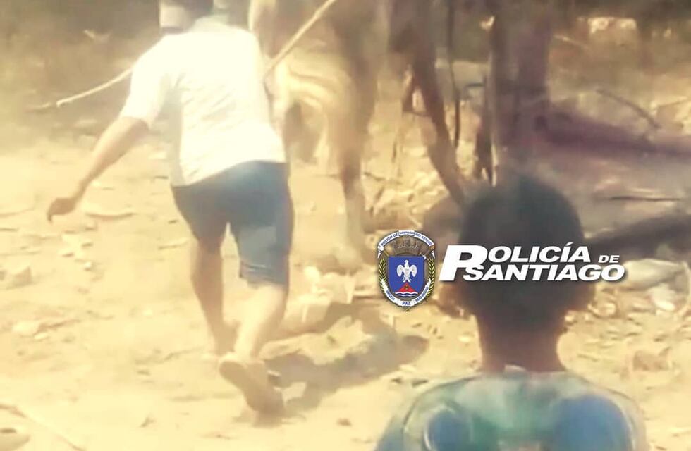 Despiadado: se viralizó un video de dos sujetos maltratando cruelmente a una yegua