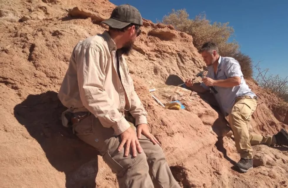 Encontraron restos de un dinosaurio que vivió hace millones de años en Neuquén
