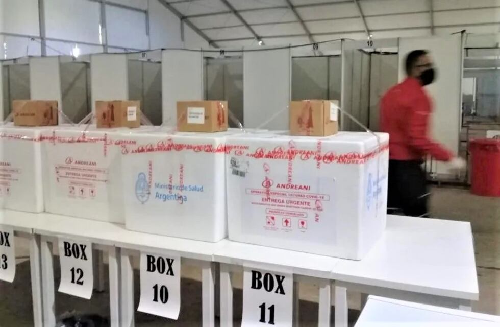 Vacuna Sputnik: una experta asegura que aplicar una sola dosis brinda inmunidad, pero no es lo ideal