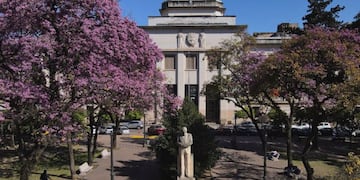 Por la puesta en marcha de la OGA de Procesos de Violencia Familiar