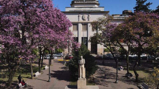 Por la puesta en marcha de la OGA de Procesos de Violencia Familiar