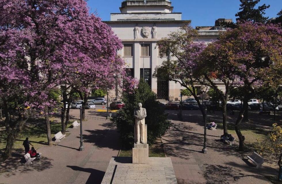 Miniferia judicial en los fueros de Familia de Tucumán